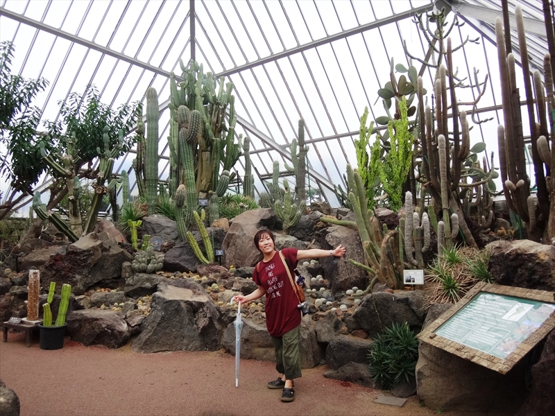 DSC06938_R
