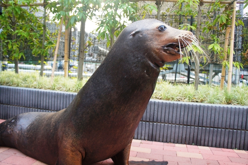 DSC01291_R