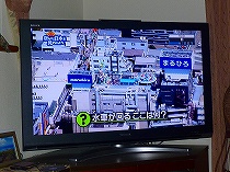 まるひろだ!