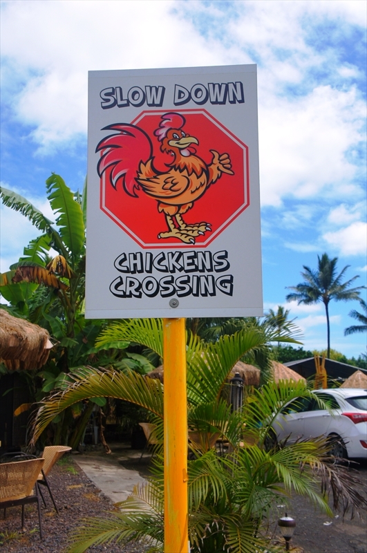 DSC00636_R