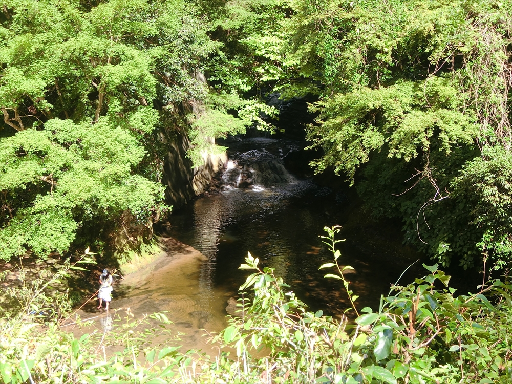 CIMG3376_R