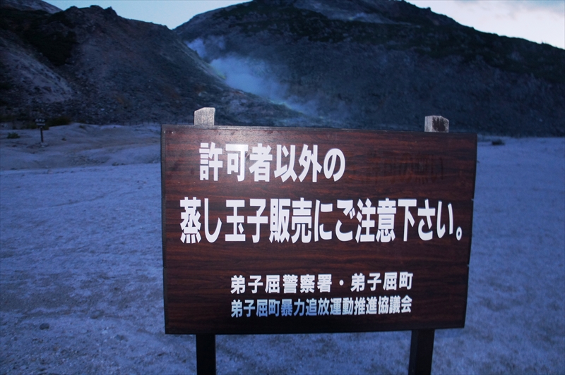 DSC00052_R