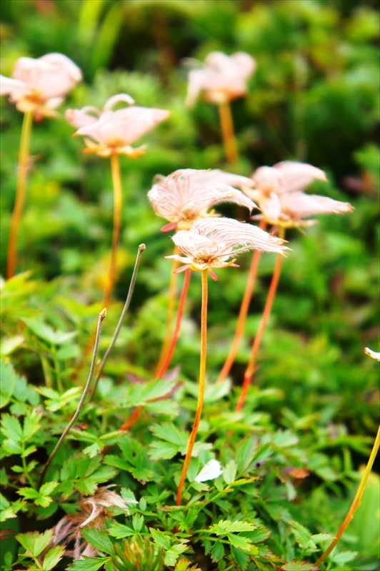 DSC01258_R