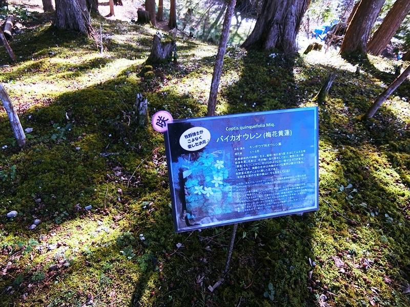 CIMG6042_R