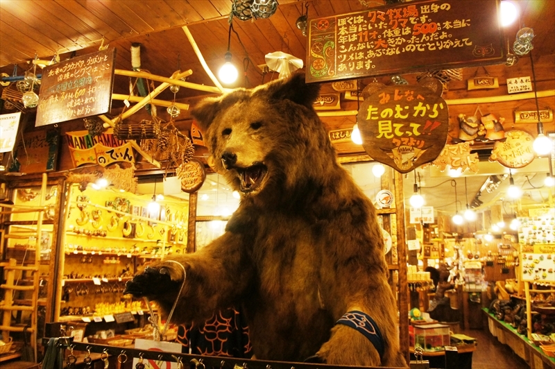 DSC00195_R