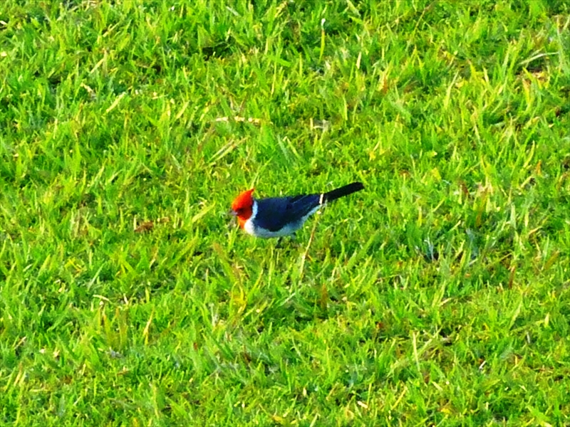 P1100585_R