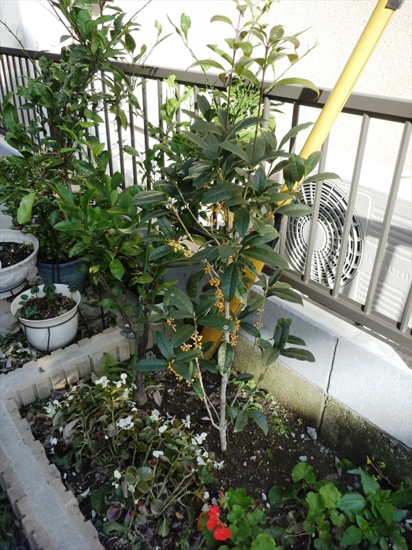 P1010698_R