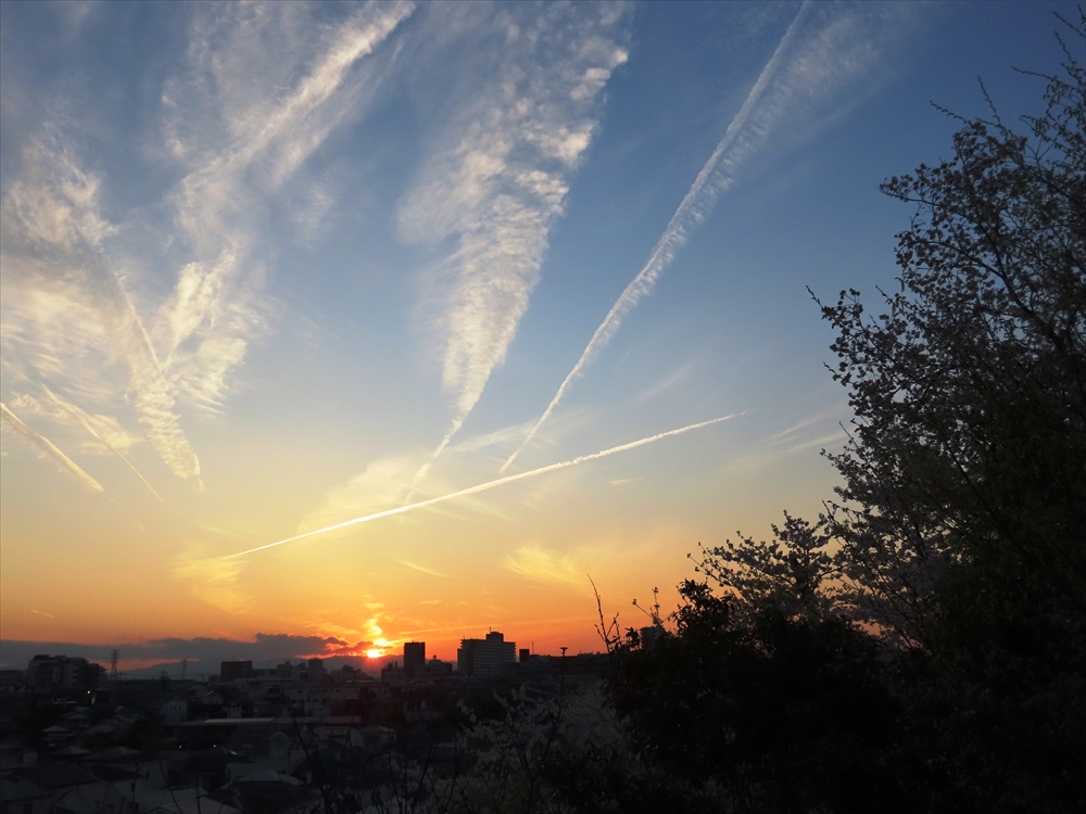 IMG_1489_R