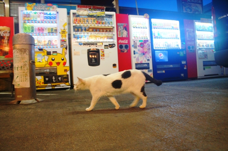 DSC03313_R