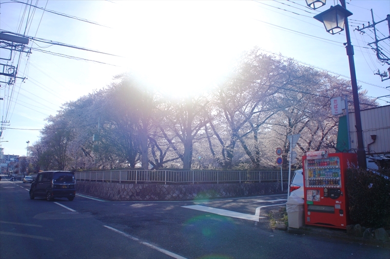 DSC00457_R