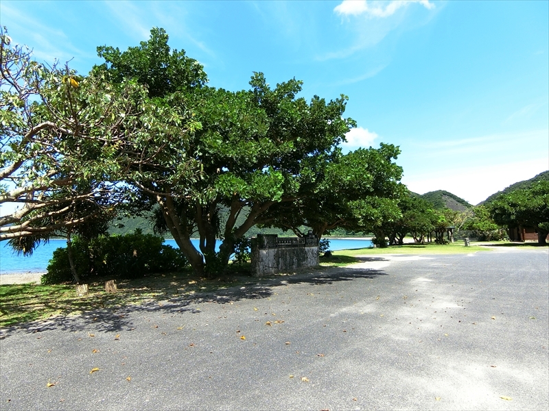CIMG6562_R