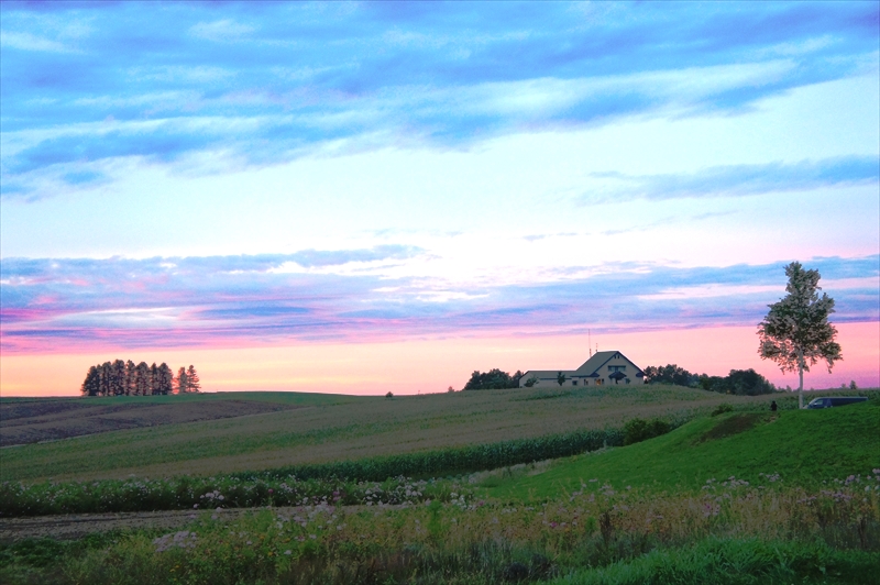 DSC00619_R