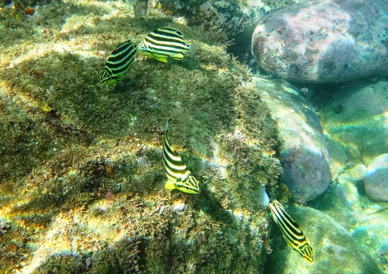 DSC06960_R