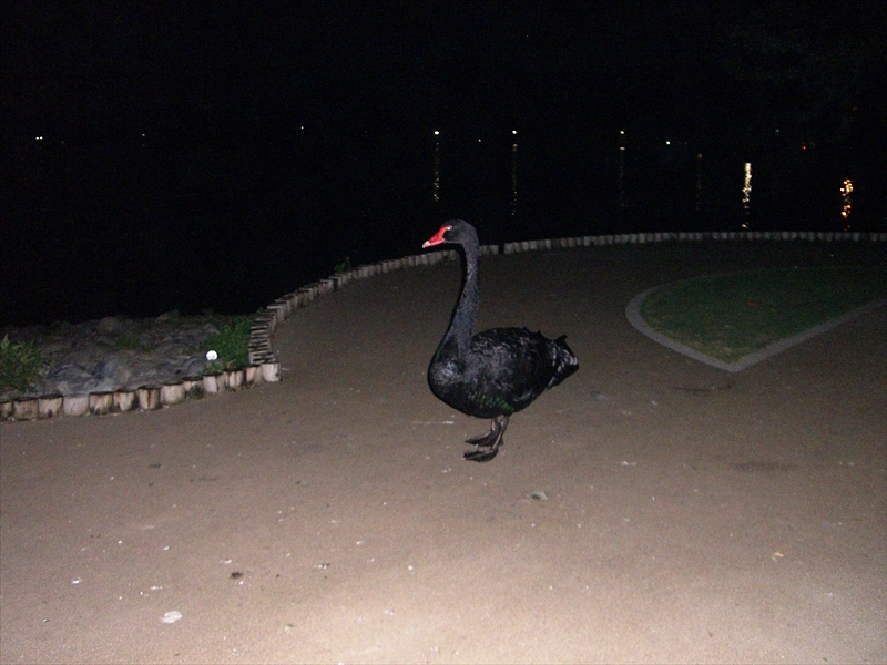 CIMG5378_R
