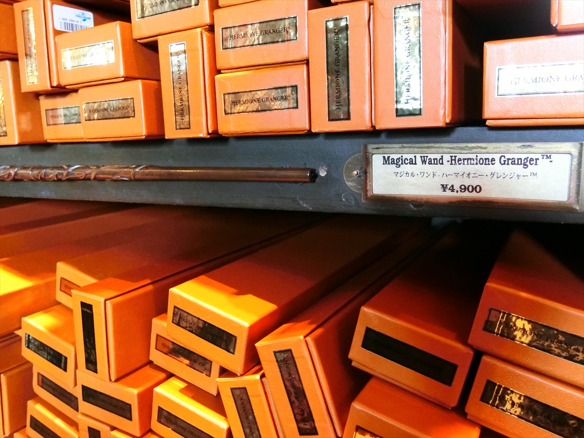 CIMG6793_R