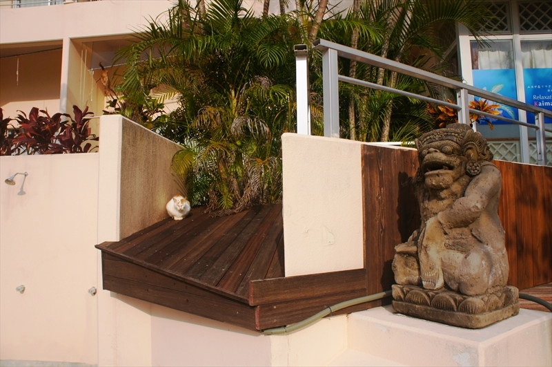 DSC00658_R