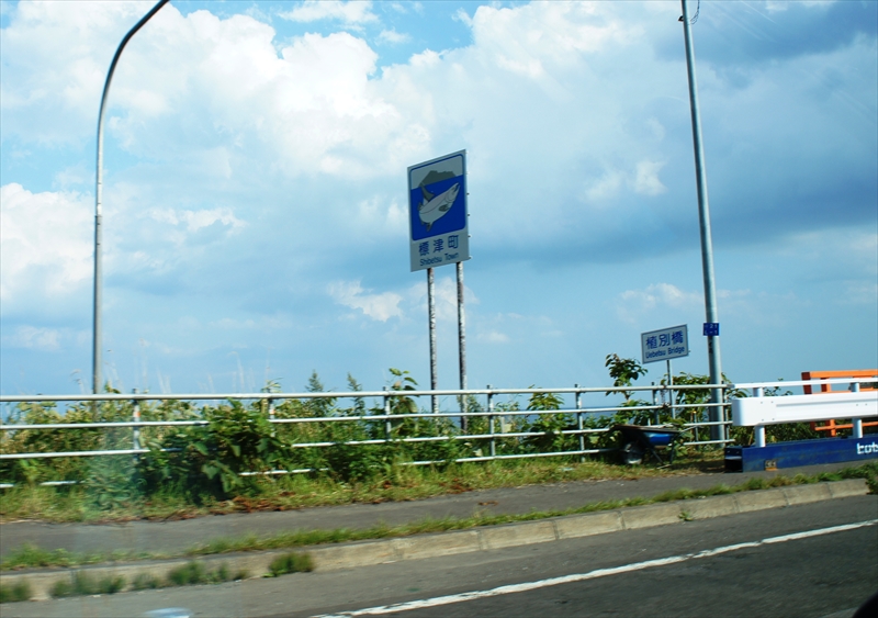 DSC01237_R