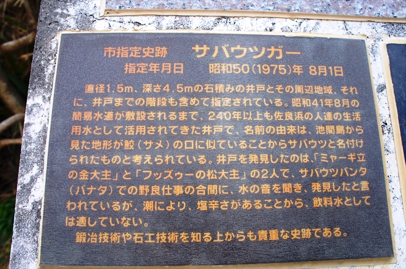 DSC00350_R