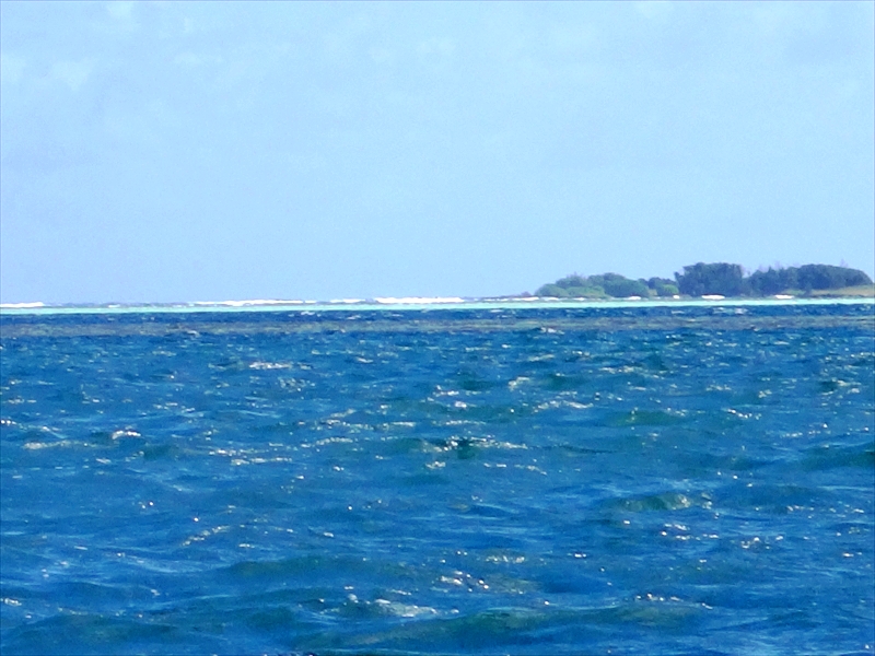 DSC07989_R
