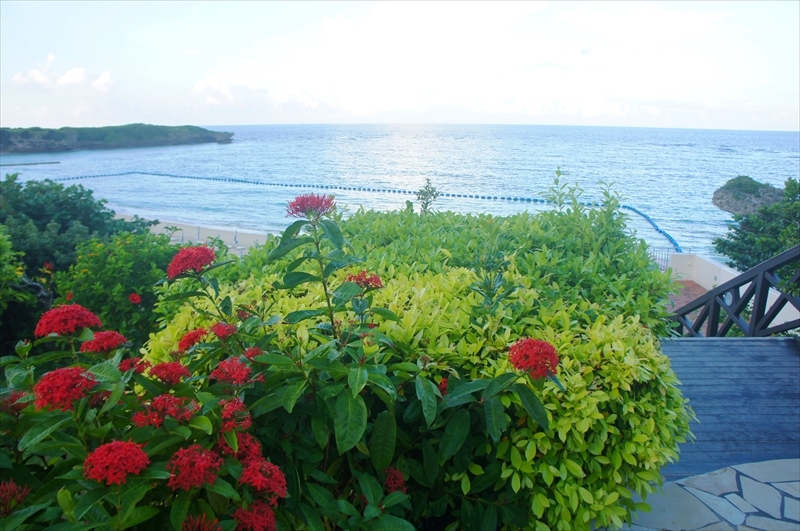 DSC00121_R