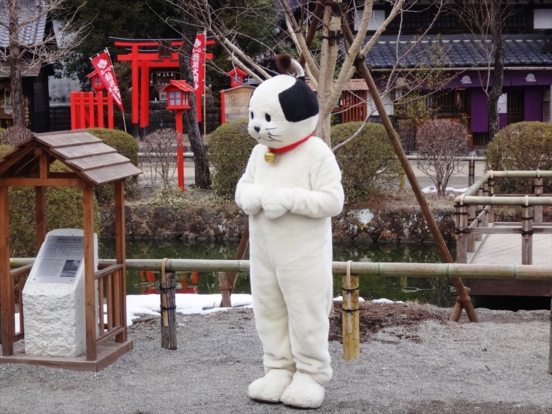 DSC09305_R