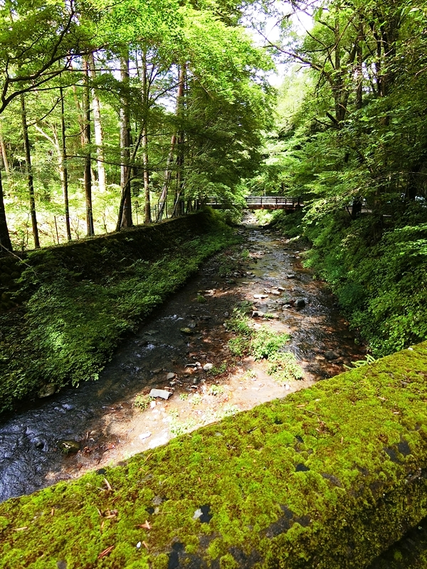 CIMG2608_R