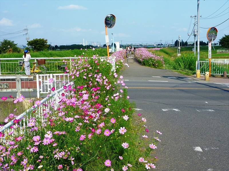 P1070865_R