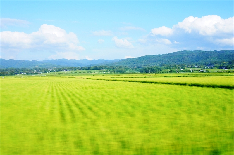 DSC05929_R