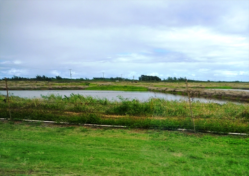 P1020417_R