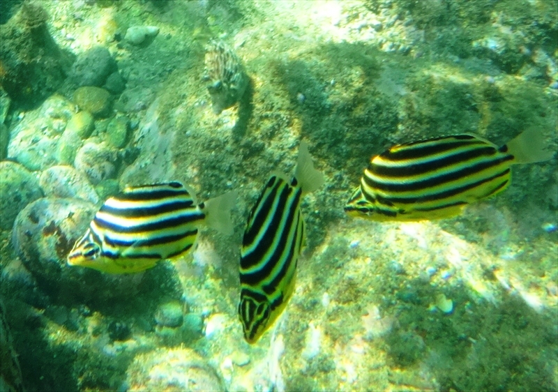 DSC06966_R
