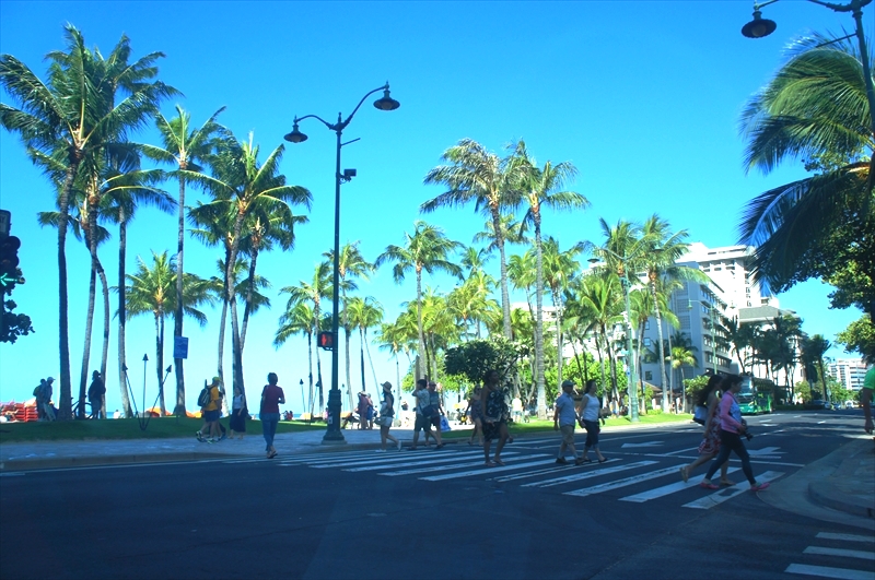 DSC00360_R