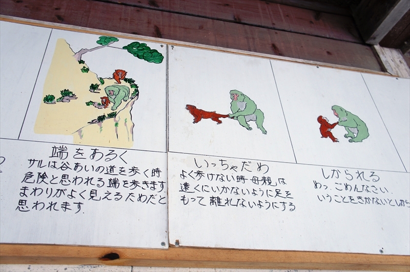 DSC01997_R