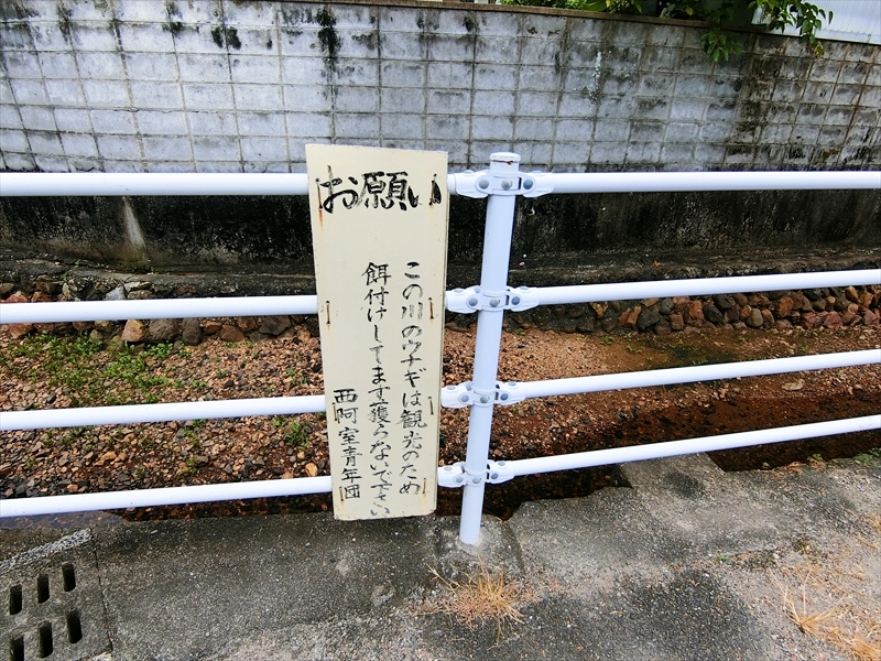 CIMG6108_R