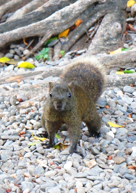 DSC09284_R