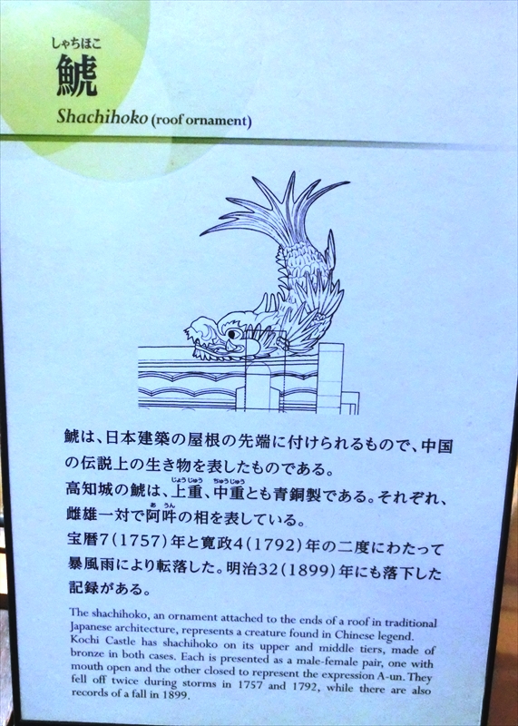 CIMG6656_R