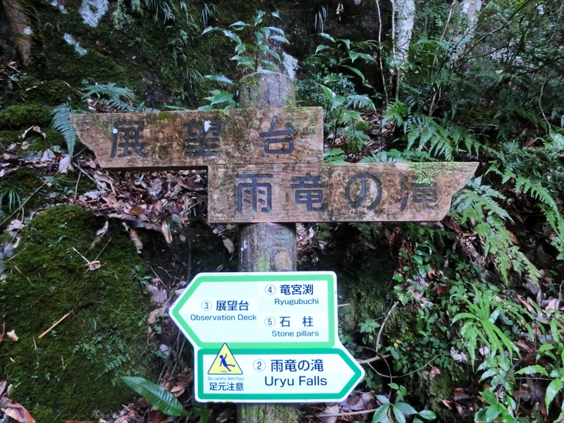 CIMG7270_R