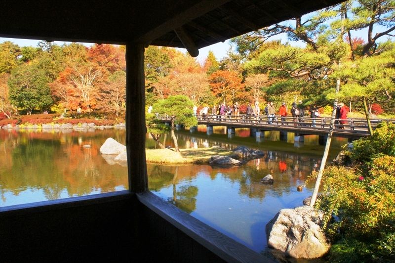 DSC01651_R
