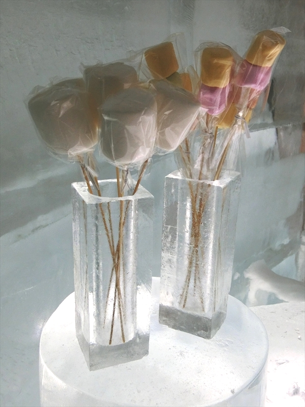 CIMG7257_R