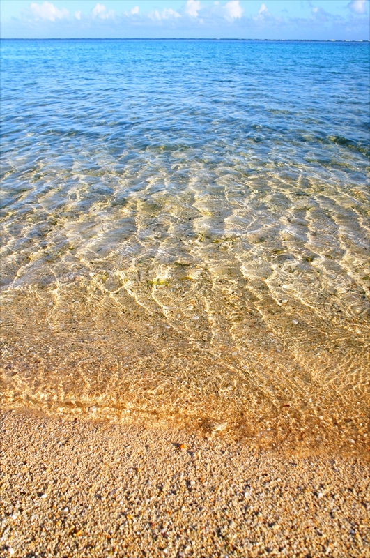 DSC00799_R