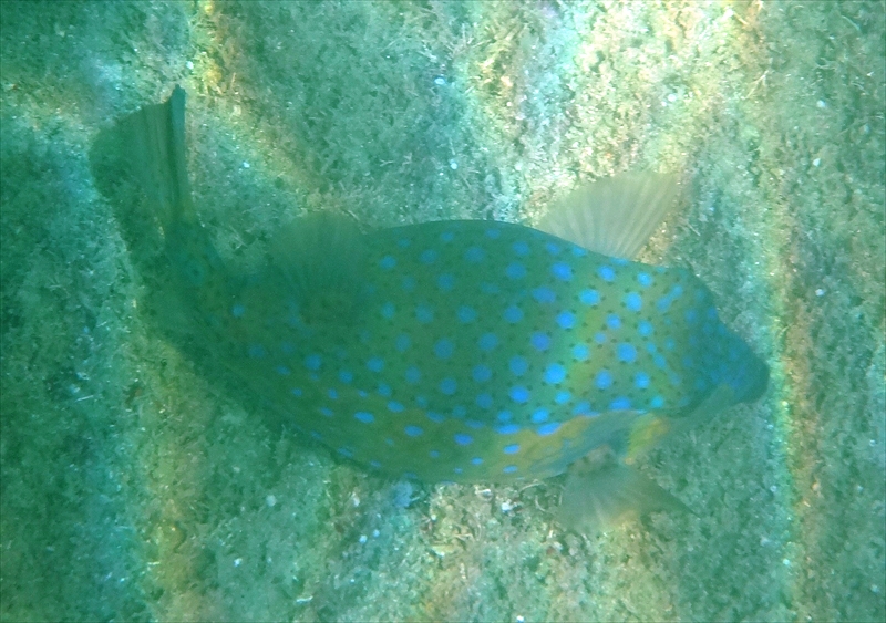 DSC04171_R