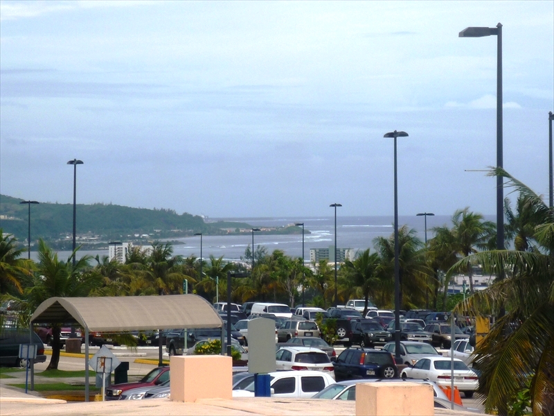 P1010077_R