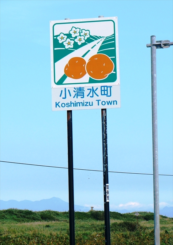 DSC00316_R