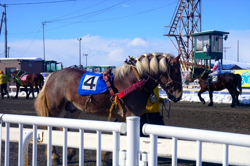 DSC00175_R