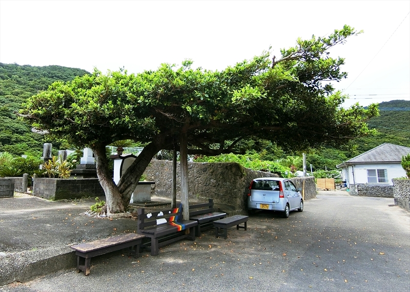 CIMG6089_R