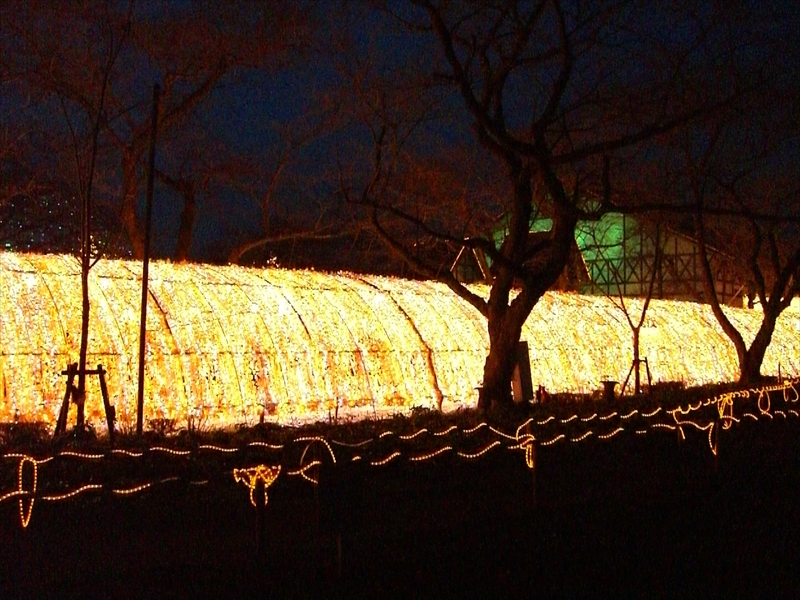CIMG6692_R