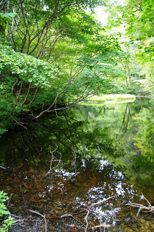 DSC05478_R