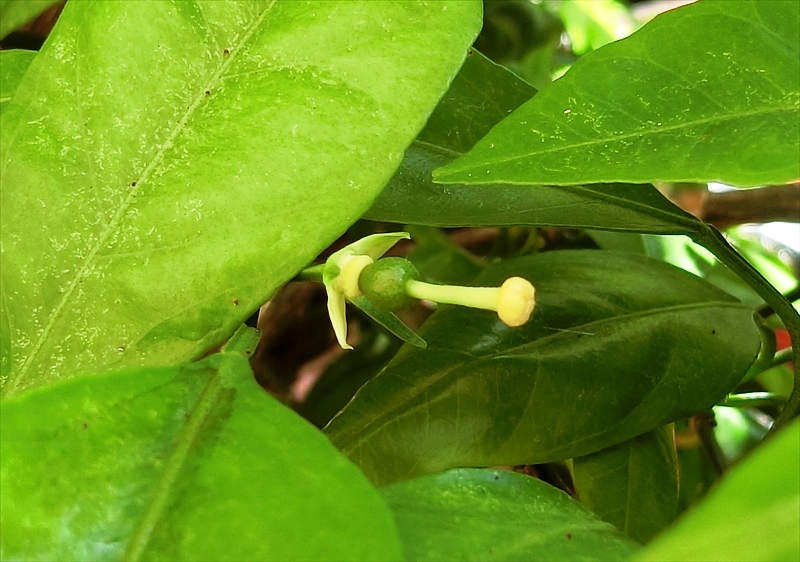 CIMG5484_R