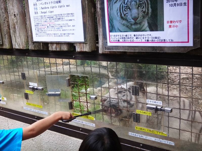 DSC05898_R
