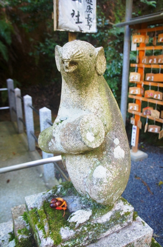 DSC00183_R