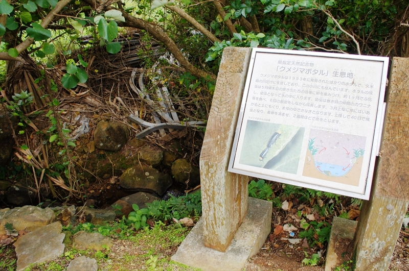 DSC02518_R